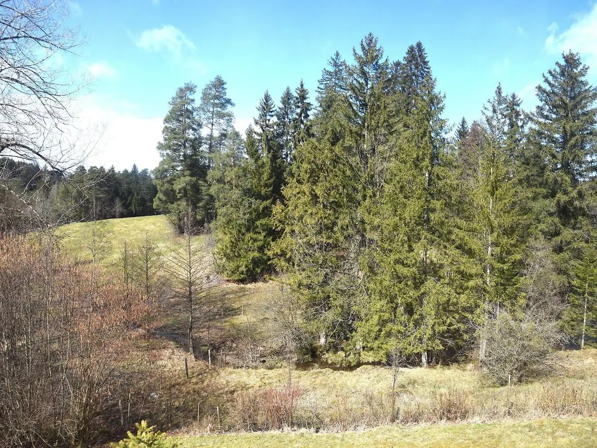Holiday Home In Fuessen With Garden Německo